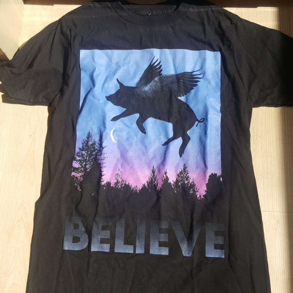 Believe pigs can fly 🐷